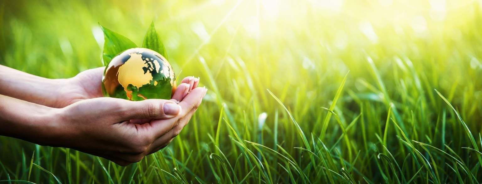 Go Green the eco-responsible program of La Villa Florentine Hotel in Lyon
